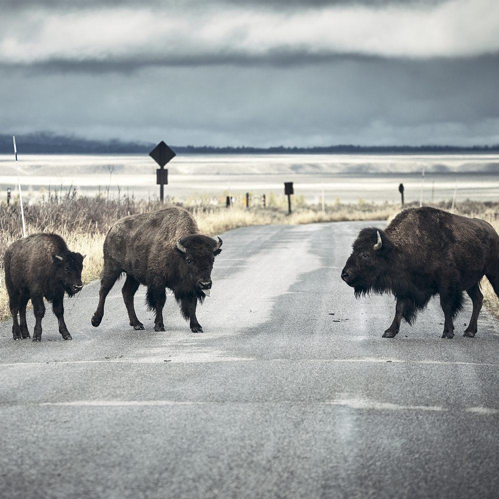 Nalatenschapsmediation regio Het Gooi | Partners in Mediation afbeelding Nalatenschapsmediation regio Het Gooi | Partners in Mediation afbeelding