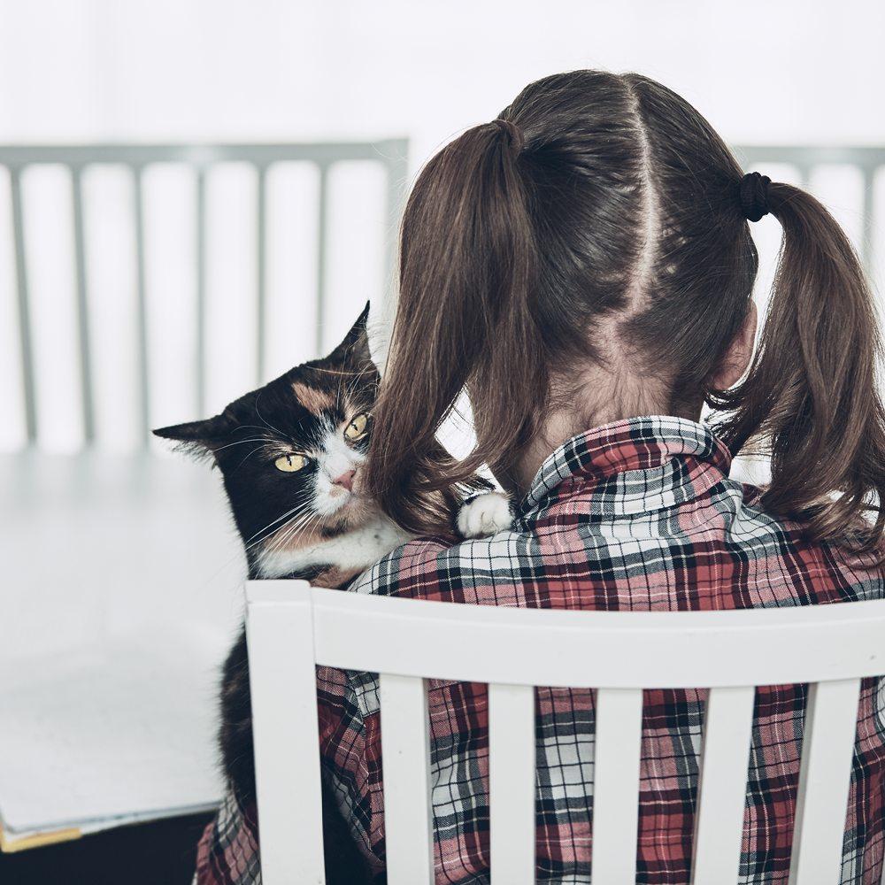 Echtscheidingsmediator Naarden, Vrijblijvend Intakegesprek afbeelding