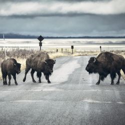 Mediation bij echtscheiding of nalatenschap | Partners in Mediation afbeelding